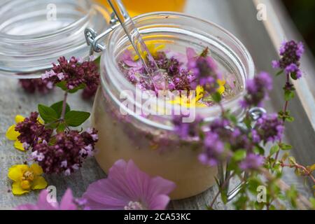 Husten-Oxymel, Hustenoxymel, Oxymel, Honig, Essig, Blüten, Blütenhonig, Blüten-Honig, Wildblumen-Honig, Wildblüten-Honig, Hustenhonig, Husten-Honig. T Stockfoto