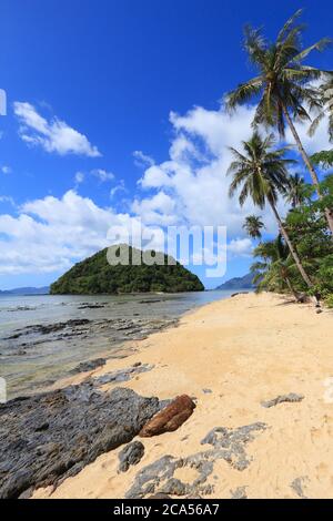 Schöner Strand in El Nido, Palawan Insel, Philippinen. Sandstrand mit schiefen Palmen. Stockfoto
