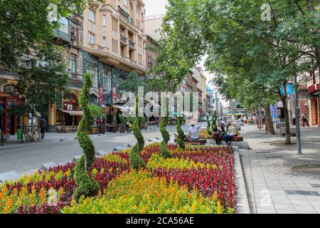 Budapest, Ungarn - 28. Juni 2013: Blumenbeet auf einer Budapester Straße im Sommer, Ungarn Stockfoto