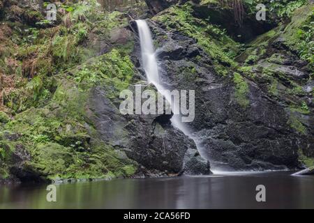 Wasserfall im Schwarzwald Sommer Stockfoto