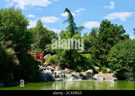 Frankreich, Cote d'Or, Dijon, Suzon Park, japanischer Garten Stockfoto