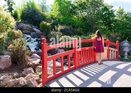 Frankreich, Cote d'Or, Dijon, Suzon Park, japanischer Garten Stockfoto