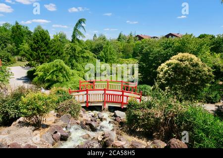 Frankreich, Cote d'Or, Dijon, Suzon Park, japanischer Garten Stockfoto