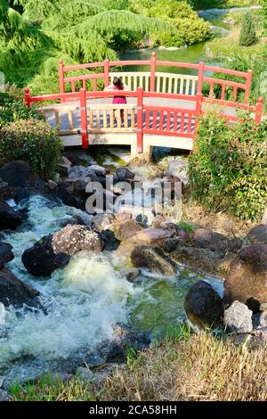 Frankreich, Cote d'Or, Dijon, Suzon Park, japanischer Garten Stockfoto