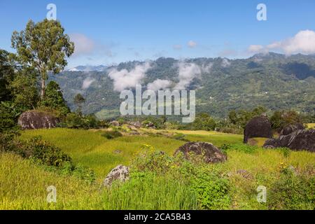 Indonesien, Sulawesi, Tana Toraja, in der Nähe von Batutumonga Dorf, Reisterrassen und Berge Stockfoto