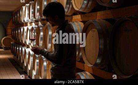 Frankreich, Lot, Albas, Château Eugénie Grands Vins de Cahors, Familie Couture, Innenraum eines Konservierungs- und Weinbaukellers, Kellermeister in vollem Umfang gewinnen Stockfoto