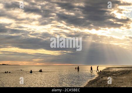 Frankreich, Somme (80), Baie de Somme, Le Crotoy, eine Gruppe von Menschen warten auf die longe-côte in einem der Kanäle und kommen aus dem Wasser mit dem Stockfoto