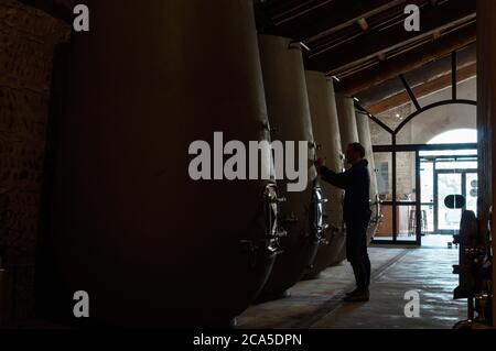 Frankreich, Gard (30), Tavel, Chateau d'Aqueria Weingut, Innenraum eines Kellers für Konservierung und Weinbereitung, Kellermeister in voller Weinprobe, Weinmak Stockfoto