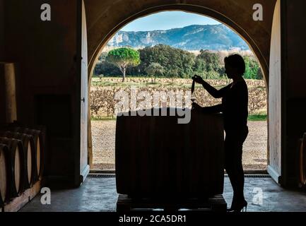 Frankreich, Gard (30), Tavel, Chateau d'Aqueria Weingut, Innenraum eines Kellers für Konservierung und Weinbereitung, Kellermeister in voller Weinprobe Stockfoto