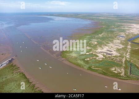 Frankreich, Charente Maritime, Charron, die Sevre Niortaise Mündung, die Mizottes Salzwiesen, die Anse de l'Aiguillon und die Pointe de l'Aiguillon (ae Stockfoto