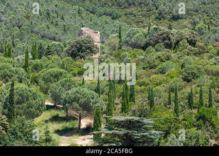 Frankreich, Aude, Narbonne, Abtei Fontfroide, die Gärten als bemerkenswerter Garten Stockfoto