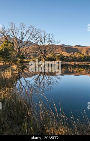 Szenische Reflexionen in einem Drakensberger See 11056 Stockfoto