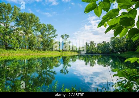 Frankreich, Isere, Gresivaudan-Tal, Lumbin, Lumbin-Teich am Fuße des Chartreuse-Massivs Stockfoto