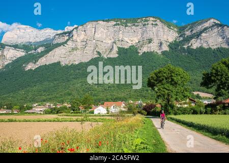 Frankreich, Isere, Gresivaudan Tal, Lumbin Dorf am Fuße des Chartreuse Massivs Stockfoto