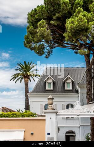 Palmier et Hôtel de luxe Blanc sur ciel bleu à Saint-Tropez en France Stockfoto