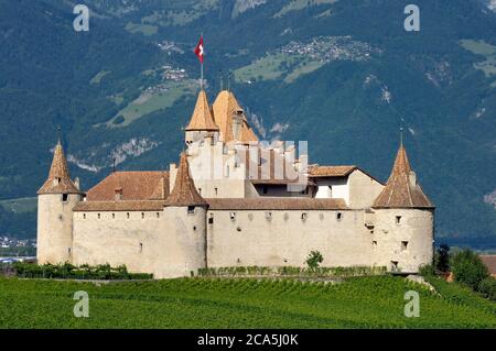 Schweiz, Kanton Waadt, Aigle, das Schloss, umgeben von Weinbergen, beherbergt es das Museum der Rebe und Wein Stockfoto