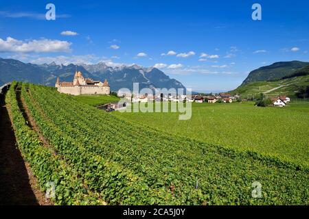 Schweiz, Kanton Waadt, Aigle, das Schloss, umgeben von Weinbergen, beherbergt es das Museum der Rebe und Wein Stockfoto