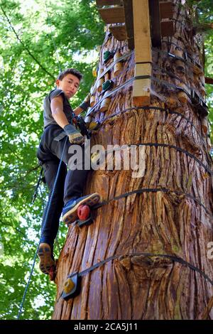 Schweiz, Kanton Waadt, Aigle, Forest Aerial Adventure Park (Baumklettern) Stockfoto