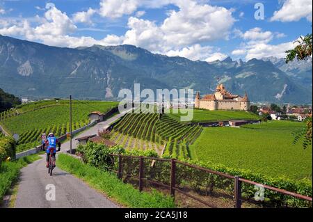 Schweiz, Kanton Waadt, Aigle, das Schloss, umgeben von Weinbergen, beherbergt es das Museum der Rebe und Wein Stockfoto