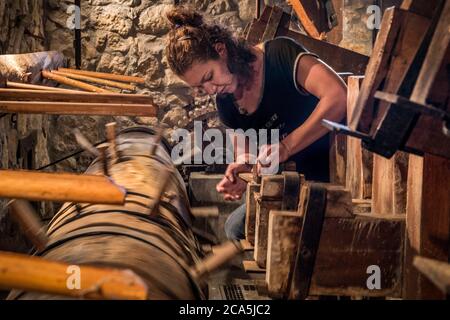 Frankreich, Savoie, Les Marches, Route des Know-how und der Kulturstätten von Chartreuse, im Moulin de la Tourne die Papierhandlerin Amandine Felix kreiert Stoffpapier (Bastelpapier aus recycelten Stoffen aus Baumwolle, Hanf, Wolle oder Jeans) und bewahrt damit ein 500 Jahre altes handwerkliches Know-how in der Region, Hier die Nockenwelle der Mühle Stockfoto