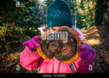 Frankreich, Isere, Vercors Regional Park, Familie Pilzjagd im Unterholz des Col de la Croix Perrin Stockfoto