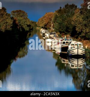 Frankreich, Herault, Canal du Midi, von der UNESCO zum Weltkulturerbe erklärt, Vias, Blick auf den Kanal bei Sonnenuntergang Stockfoto