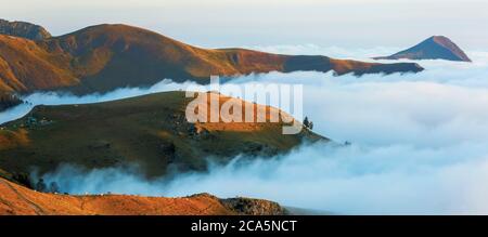 Frankreich, Hautes Pyrenees, Barousse, Port de Bales, Herde von Kühen im Sommer Weide bei Sonnenaufgang Stockfoto