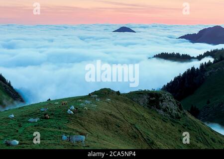 Frankreich, Hautes Pyrenäen, Barousse, Port de Bales, Berglandschaft mit einem Meer von Wolken und Nebel im Tal bei Sonnenaufgang Stockfoto