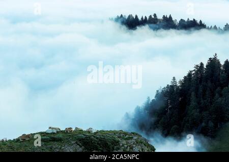Frankreich, Hautes Pyrenäen, Barousse, Port de Bales, Berglandschaft mit einem Meer von Wolken und Nebel im Tal bei Sonnenaufgang Stockfoto