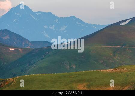 Frankreich, Hautes Pyrenäen, Barousse, Port de Bales, Berg- und Sommerweiden bei Sonnenaufgang Stockfoto
