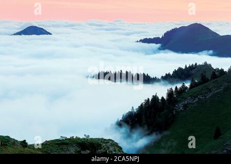 Frankreich, Hautes Pyrenäen, Barousse, Port de Bales, Berglandschaft mit einem Meer von Wolken und Nebel im Tal bei Sonnenaufgang Stockfoto