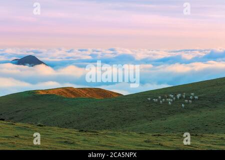 Frankreich, Hautes Pyrenäen, Barousse, Port de Bales, Berg- und Sommerweiden bei Sonnenaufgang Stockfoto