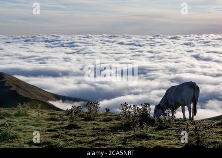 Frankreich, Hautes Pyrenäen, Barousse, Port de Bales, Berglandschaft mit einem Meer von Wolken und Nebel im Tal bei Sonnenaufgang Stockfoto