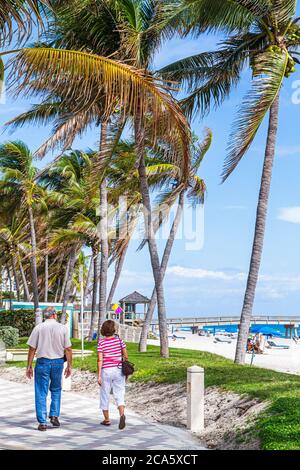 Deerfield Beach Florida, Ocean Water Way, Palmen, Sand, öffentlich, Atlantikküste, Ufer, Surfen, Sonnenanbeter, Deerfield Beach Internationales Angeln Stockfoto