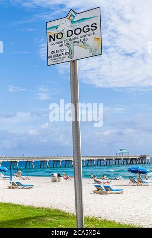 Deerfield Beach Florida, Schild, Logo, Regeln, keine Hunde, Sand, öffentlich, Atlantikküste, Ufer, Surfen, Sonnenanbeter, Deerfield Beach International Fishing Pie Stockfoto