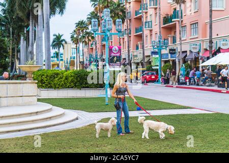 Boca Raton Florida, Mizner Park Plaza Real, Geschäfte, Geschäfte, Geschäfte, Geschäfte, wo man Hunde und Pudel laufen kann Stockfoto