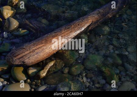 Log on der Strand liegt im Wasser bei Sonnenuntergang Stockfoto