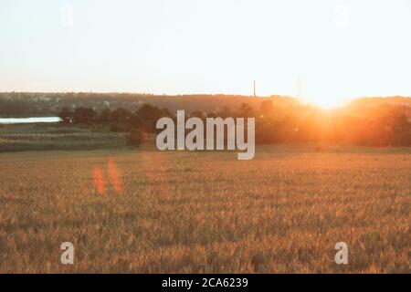 Blick auf den Sonnenuntergang über dem Weizenfeld Stockfoto