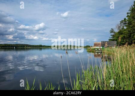 Krakauer See in der Mecklenburgischen Seenplatte, Deutschland Stockfoto