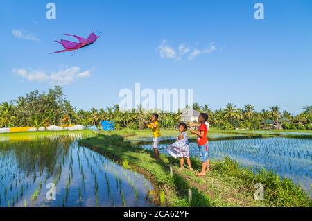 Bali, Indonesien - 17. September 2019: Kinder starten einen Drachen auf einem Reisfeld in Ubud, Bali Island, Indonesien Stockfoto