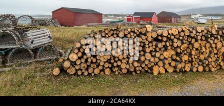 Holzstapel am Fischervorposten, Westneufundland, Kanada Stockfoto