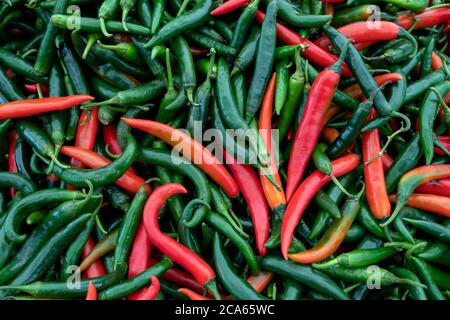Frische grüne und rote Paprika auf dem Markt Hintergrundtextur Stockfoto