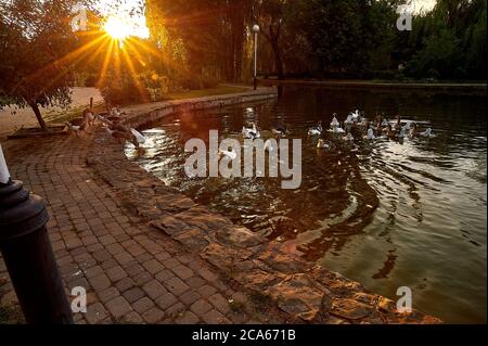 Eine Gruppe von Leuten, die am Ufer eines Flusses sitzen Stockfoto