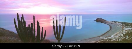 Blick auf Sonnenaufgang über dem Meer, Sea of Cortez, Cabo Pulmo, Baja California Sur, Mexiko Stockfoto