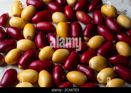 Gelbe frische Datteln Früchte auf weißem Hintergrund Stockfoto