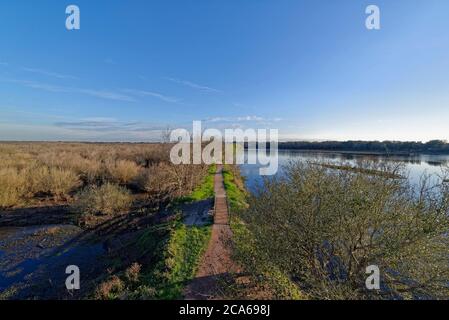Blick auf den geraden Trail vorbei 40 Acre See am Brazos Bend State Park an einem sonnigen Abend im März. Stockfoto