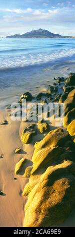 Sonnenaufgang über Meer und Strand, Cabo Pulmo Nationalpark, Baja California Sur, Mexiko Stockfoto