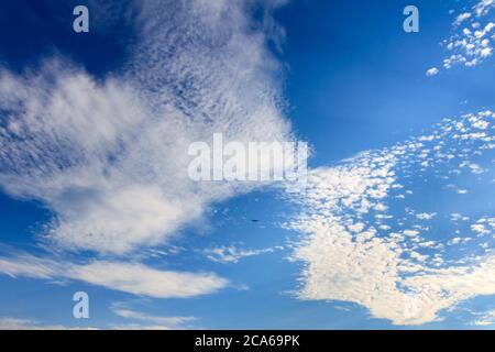 Schöner blauer Himmel mit Wolken und Vogel an einem sonnigen Tag Stockfoto