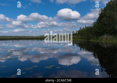 Wolkenspiegelung im Okhotnichye (Jäger) See. Öko-Route im Naturschutzgebiet "Rakowyje ozera" (Krayfischseen), Leningrad-Region, Russland Stockfoto