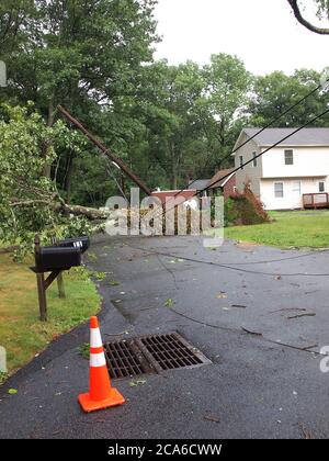 04 AUG 2020,Jefferson Twp., Morris County, New Jersey. Isaias lässt 1.3 Millionen ohne Macht, als Sturm nach Norden nach New England aufbricht. Stromleitungen von starken Winden heruntergefahren. Ganz NJ steht zu diesem Zeitpunkt unter einer Tornadouhr. Kredit; Tom Cassidy/Alamy Live Nachrichten Stockfoto